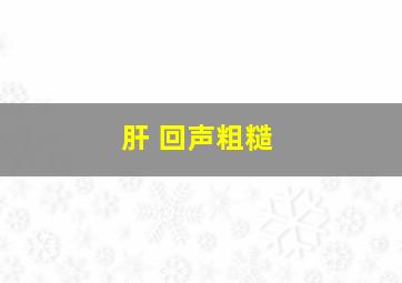 肝 回声粗糙